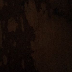 Meet your Posher, Bradley